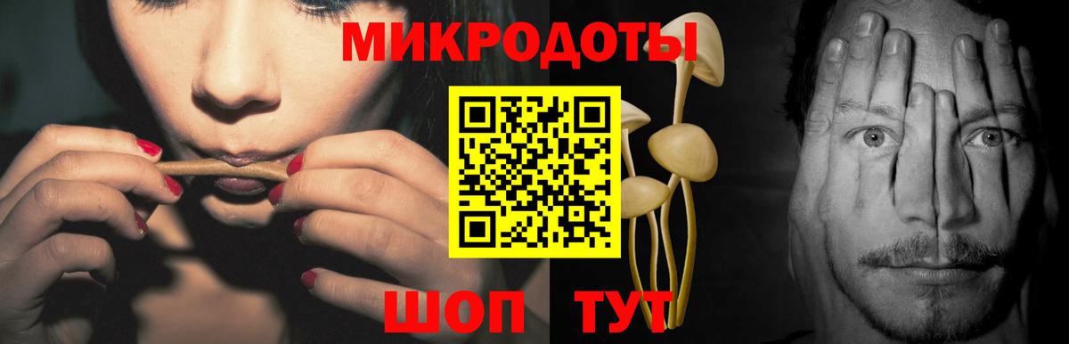 Ачхой-Мартан  Псилоцибиновые грибы Psilocybe  Вход с VPN 