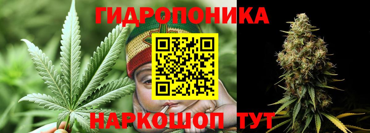 Ачхой-Мартан  Бошки марихуана план  Канабис White Widow  Вход с VPN  Канабис план 